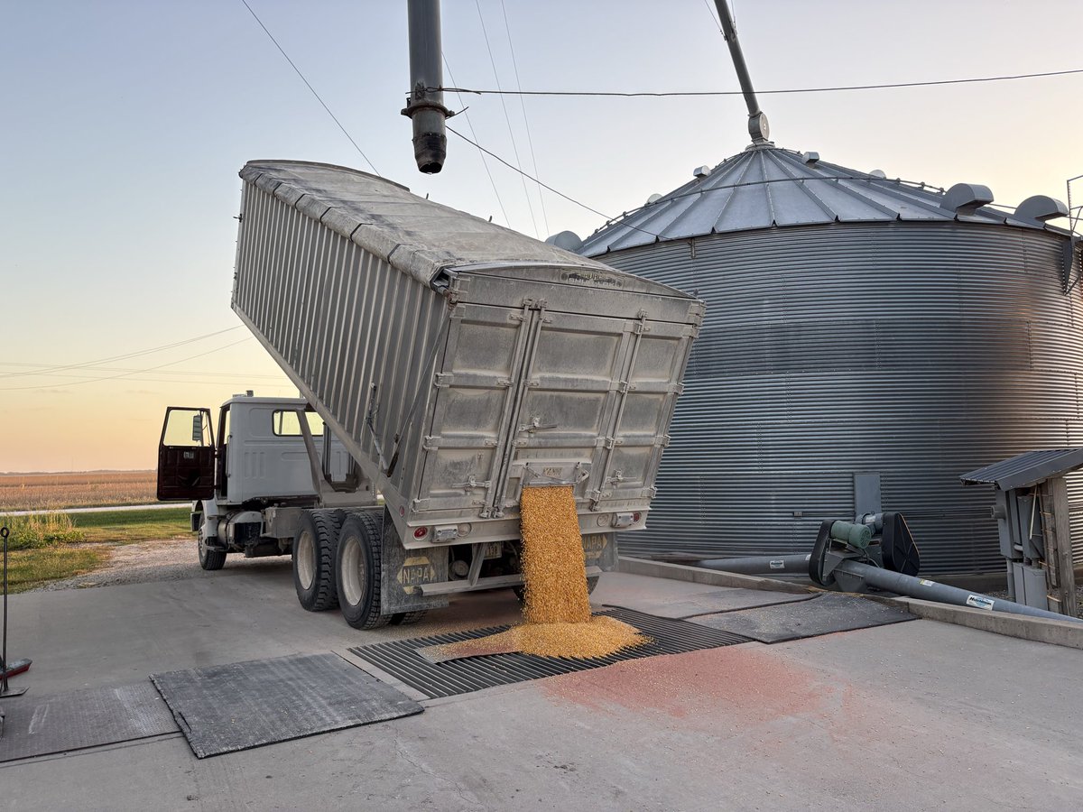 Mitchell Hora tweet media