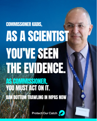 OceanaEurope's tweet photo. ‘Case by case’ is not precautionary nor compatible with the notion of real protection. In our open letter we urge @CostasKadis to include legally binding targets to phase out #BottomTrawling in #MPAs in the #EUOceanAct #EUOceanWeek #Natura2000 https://t.co/docmbrxIMl https://t.co/5IHukBhwBE