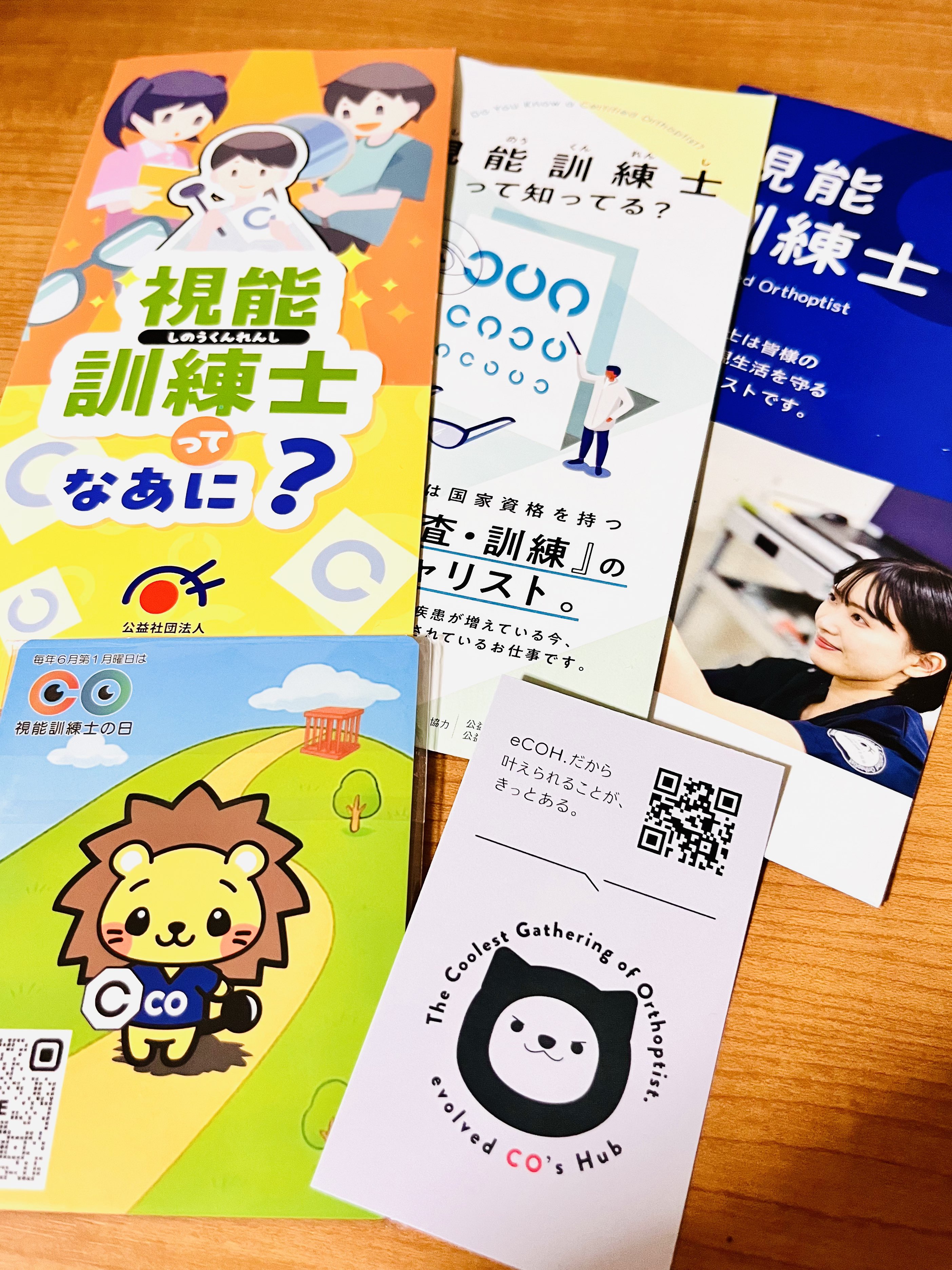 Tozawa 🎃 Orthoptist (@VDAQ0TW1pXlvZ8w) / X