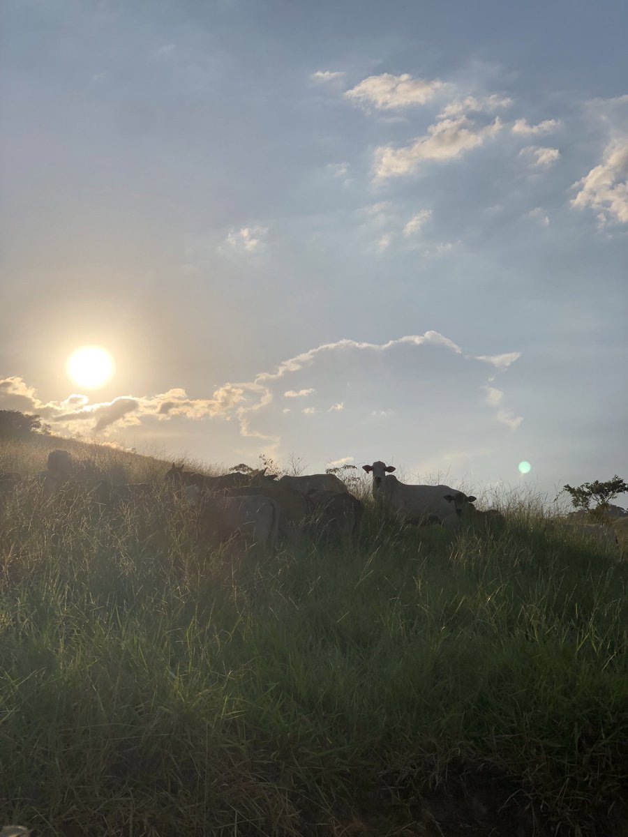 ConsistencyCode's tweet image. Get that morning sunlight ☀️