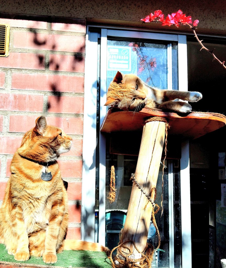 Muy buen día 🐾😄
Buena vida hoy 🩷🎶🧿