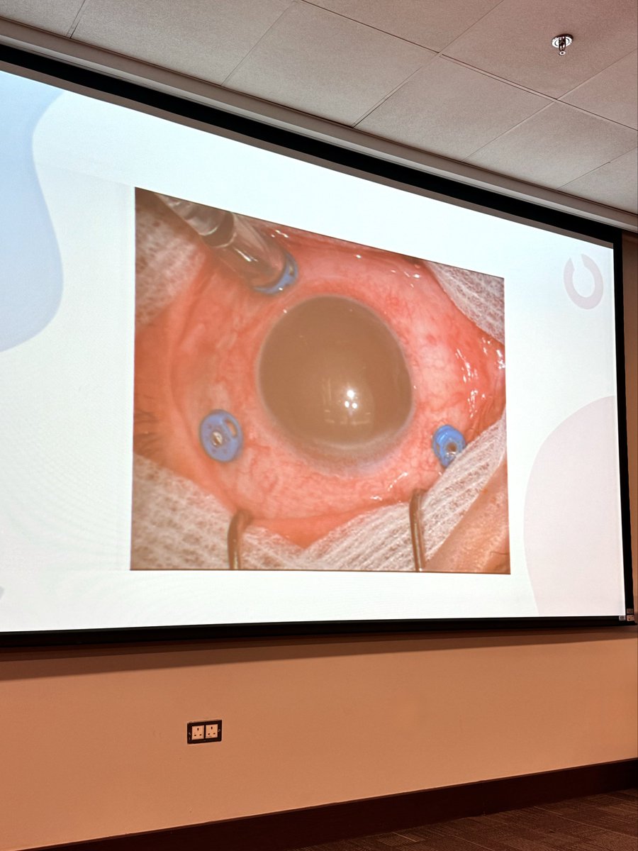 Omar ❈ tweet media