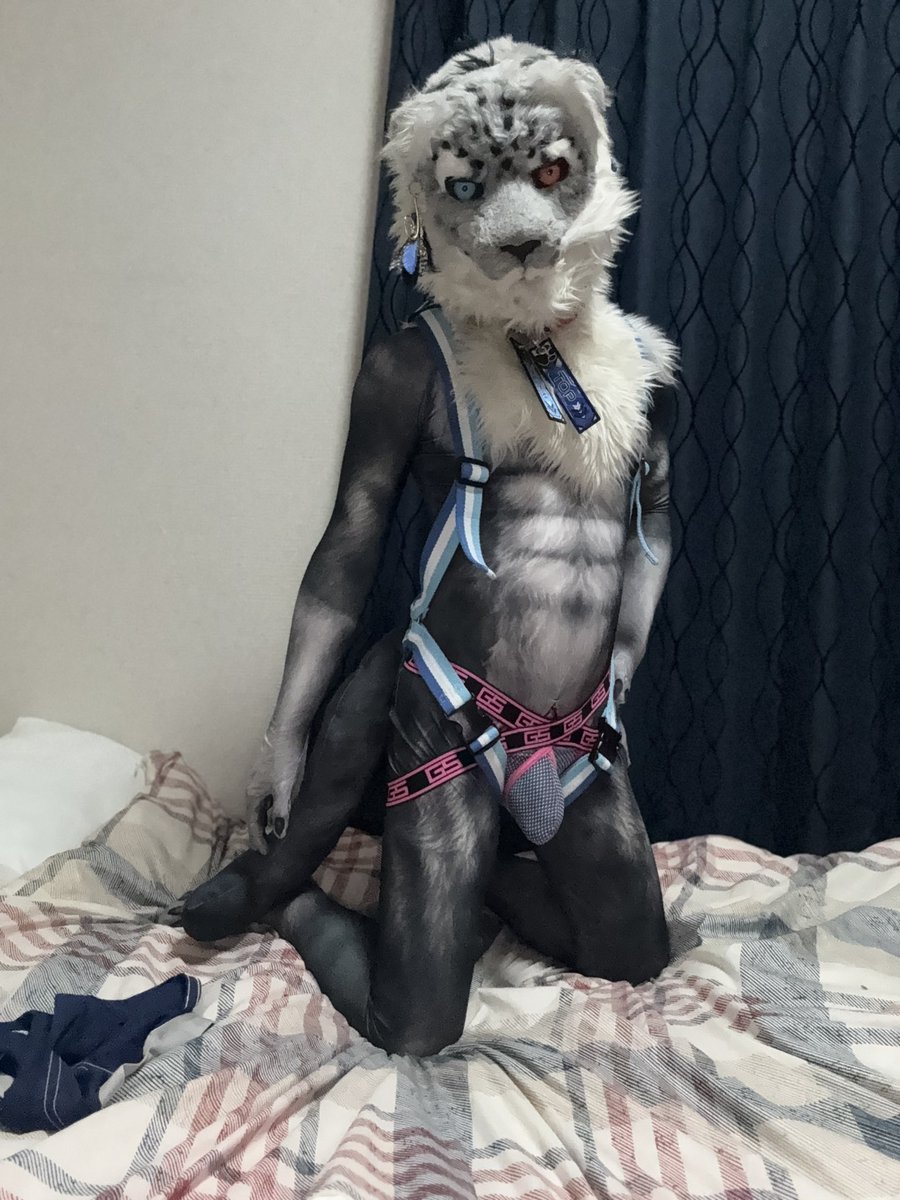 スポーツの日ってことでスポーツしてるヘイルくん！😆
ボクシング🥊モータースポーツ🏎️スキー⛷️最後は夜の…😛
#スポーツの日
#FursuitEveryday 
#獣BoxingGym