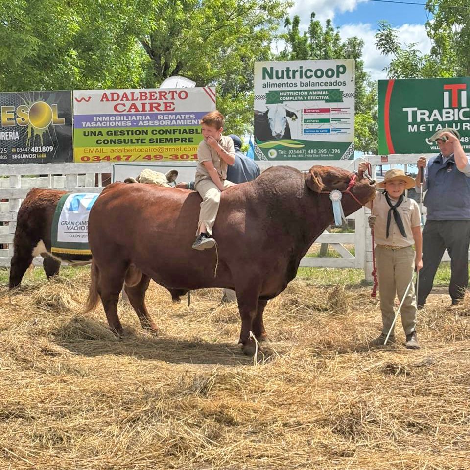 ✅ Cierre en Colón: FARER ratifica el liderazgo del campo entrerriano
La 42º Expo Rural de Colón marcó el cierre de un exitoso calendario de 13 exposiciones en Entre Ríos, eventos son la vidriera irremplazable de la inversión y el motor comercial de la provincia.