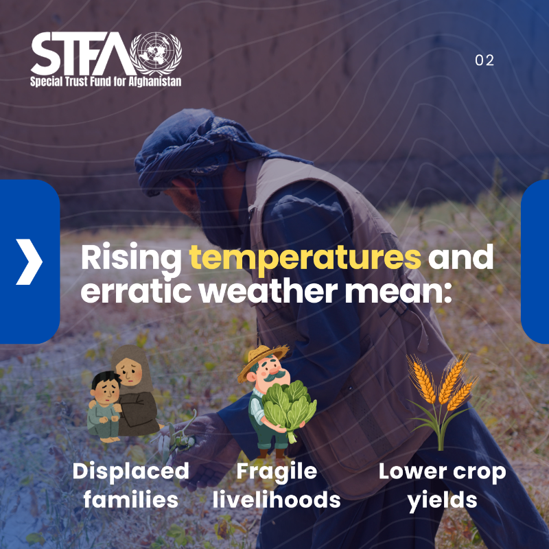 UN_STFA's tweet photo. Climate change is not a challenge of the future; it is a present-day crisis in Afghanistan. @UN_STFA with partners, we support prevention, early recovery, resilient farming & safer livelihoods.
On this #DisasterRiskReductionDay, we are urged to #FundResilience, #NotDisasters.