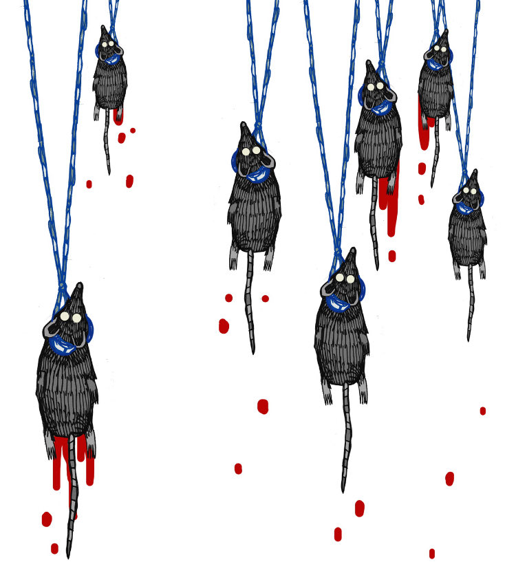 #صالح_الجعفراوي 
#المجد_للشهداء 
#يسقط_الاحتلال_وعملائه