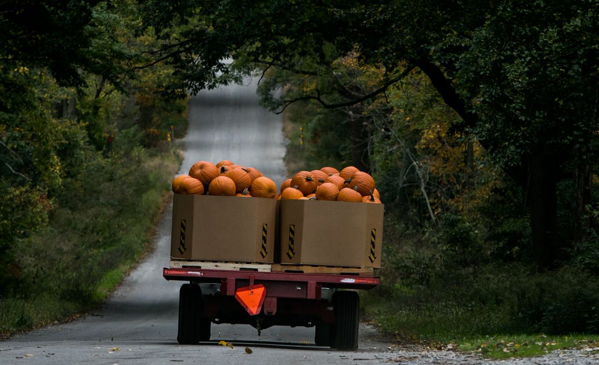Happy Thanksgiving! 🍂 We're grateful for the abundant harvest and for all the hardworking people who bring healthy food to our tables.  🦃🍎🥕