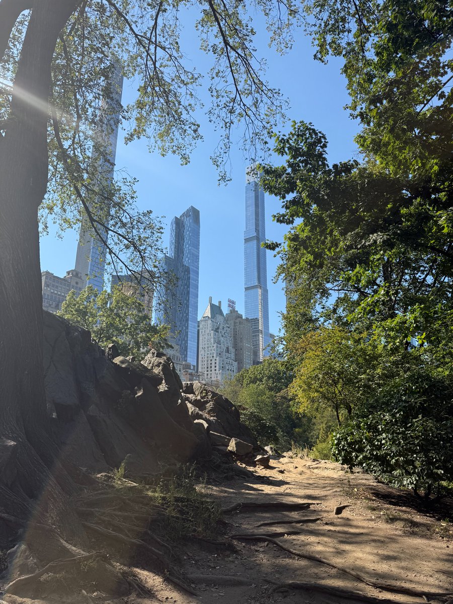 Christine Vallaure tweet media