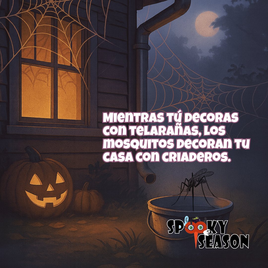 🦟🏚️ No dejes que los mosquitos decoren tu hogar con criaderos.
Cada semana revisa tu patio y vacía, cepilla, tapa y bota todo lo que acumule agua.