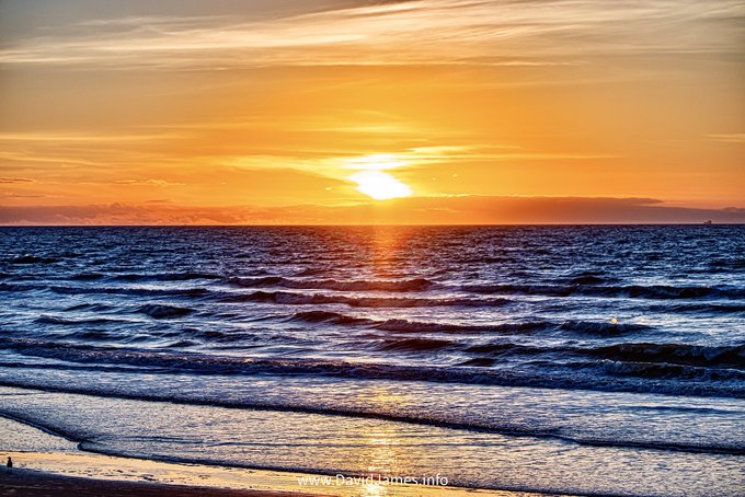 From Galveston, Texas... Have a Good Monday.