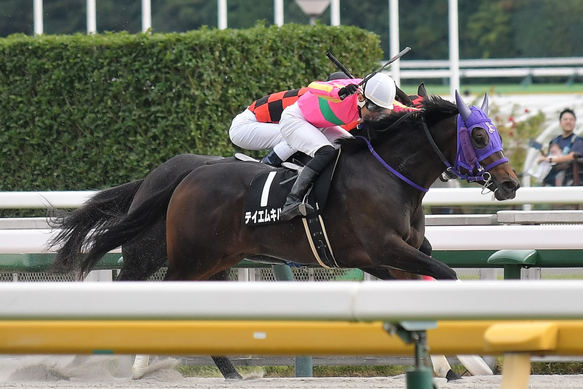 まねき馬　まねき馬倶楽部　競馬カード　丹内祐次騎手　レインボーカード まねき馬 まねき馬倶楽部 競馬カード 丹内祐次騎手 レインボー