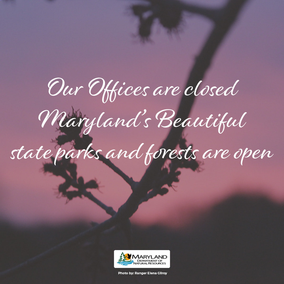 MarylandDNR's tweet image. Good morning! Our offices are closed today for the holiday, but our beautiful Maryland State Parks and Forests are open! #getoutdoors
