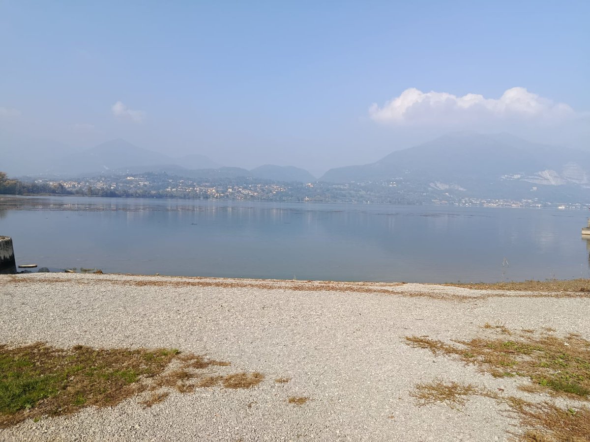 Giulia Calignano tweet media