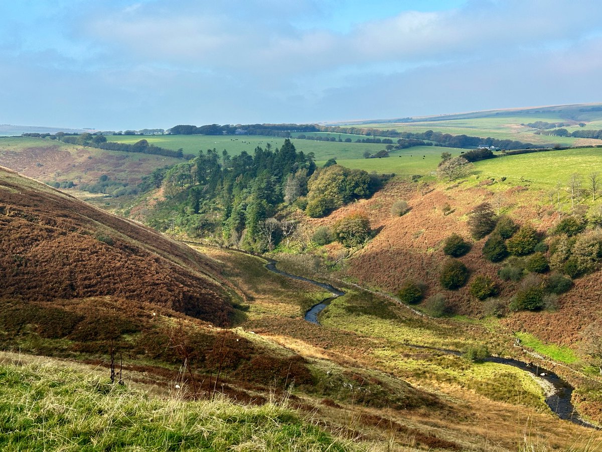 James Wright tweet media