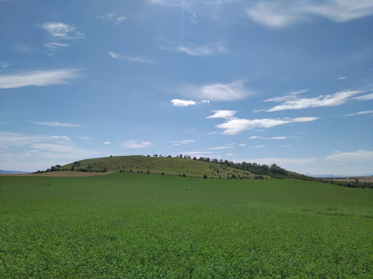 EarthBridge tweet media