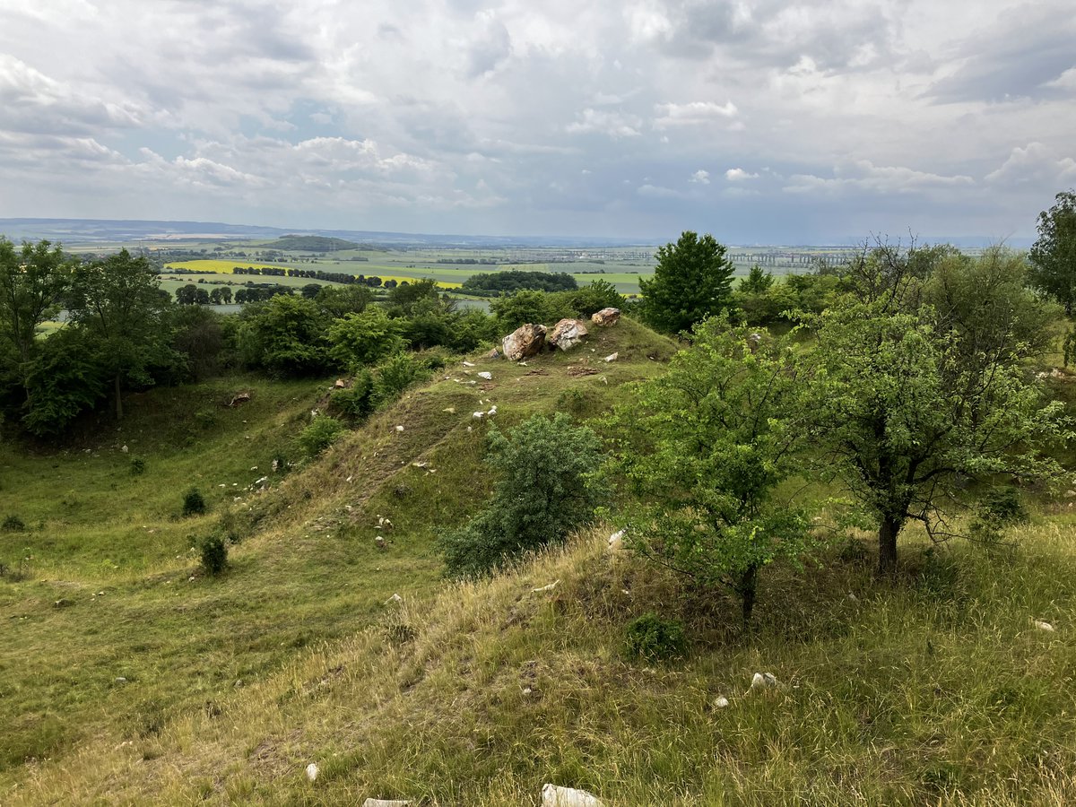 EarthBridge tweet media