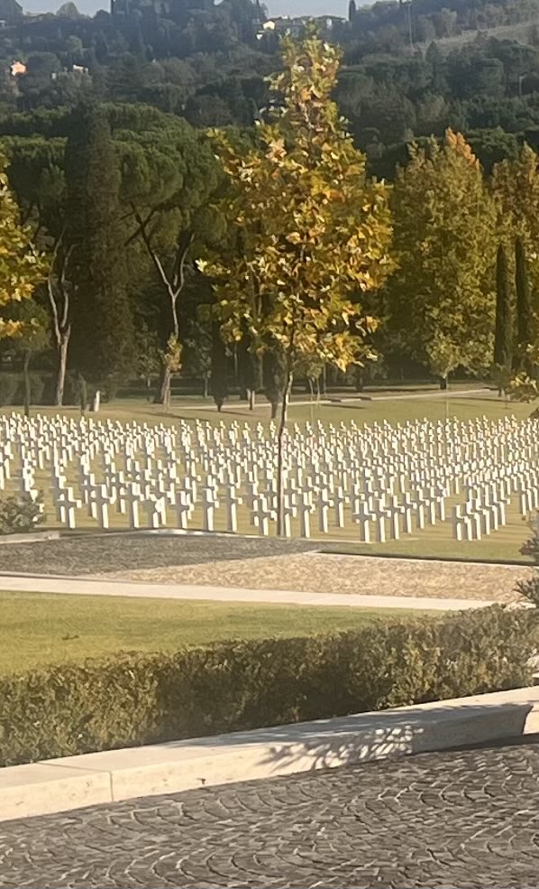 Mandy Young tweet media