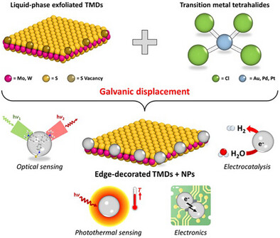 💡 Turning defects into design! We’ve developed a toposelective way to decorate 2D transition metal dichalcogenides with noble metal nanoparticles 💎 By exploiting defects, we unlock new hybrid materials for sensing, catalysis &amp; electronics 🚀
Read more 👉 doi.org/10.1002/adma.2…