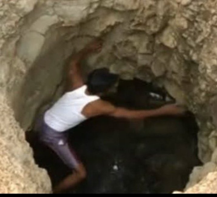 irolinboy__'s tweet image. Crysto panda looking for another hit song😂😂😂