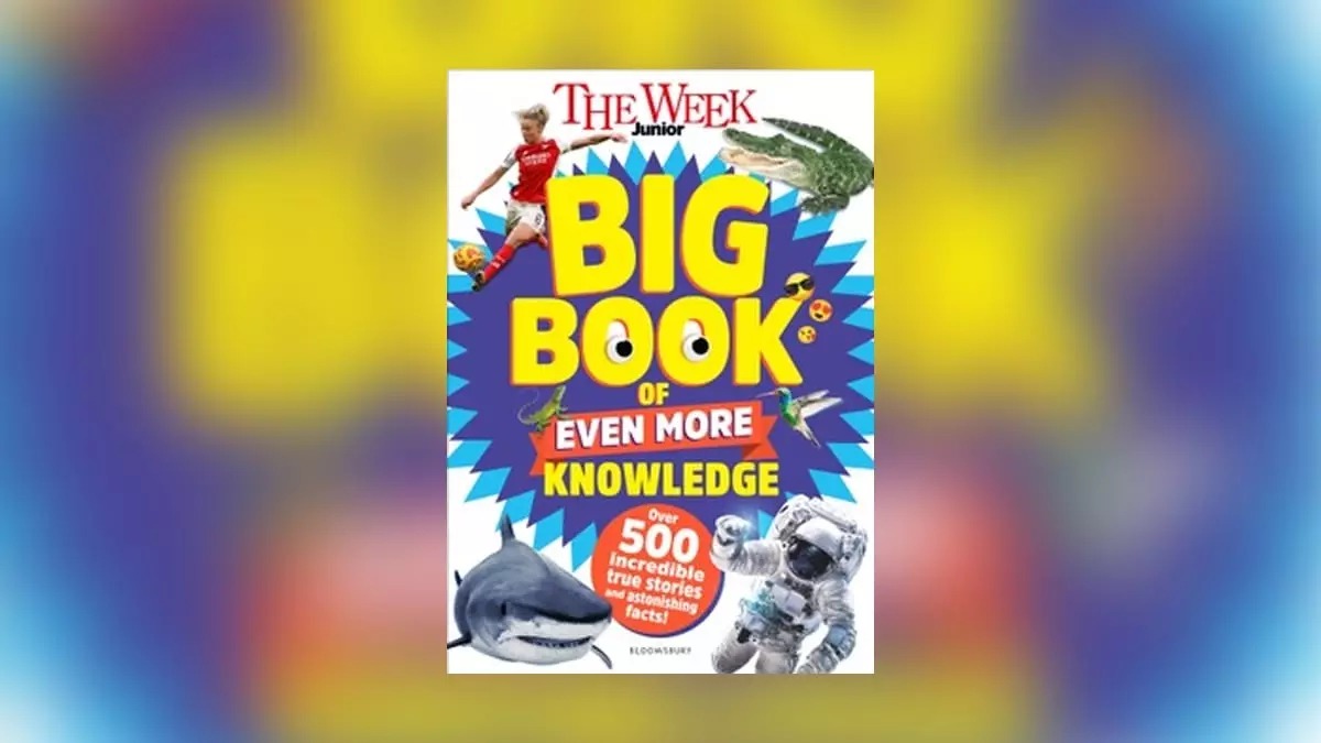 Fun Kids Radio tweet media