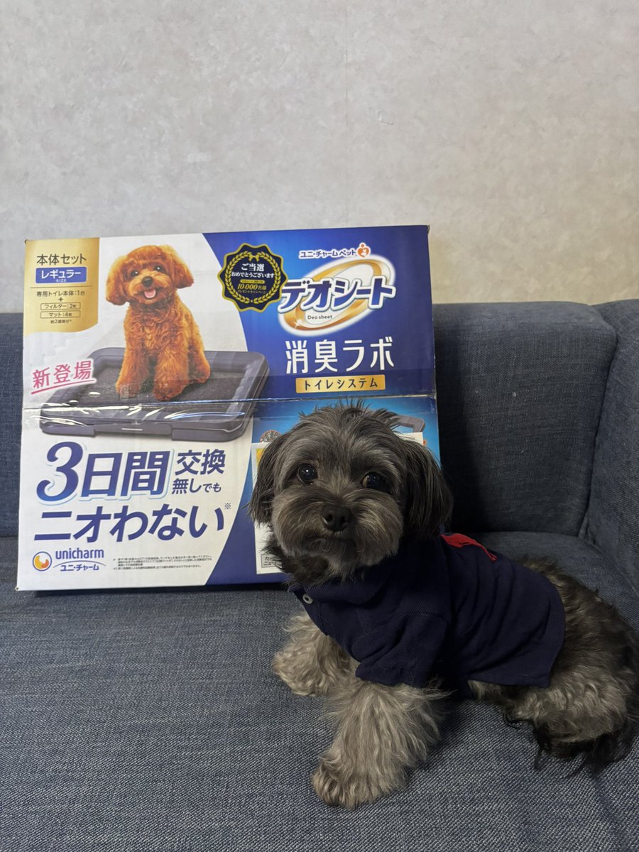 うらちゃん様♥️ウエスティ ケアーンテリア ウェルカムボード