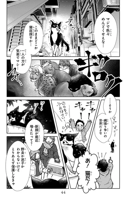 猫好き女子の前で猫になってしまった同級生男子。(10/13) 