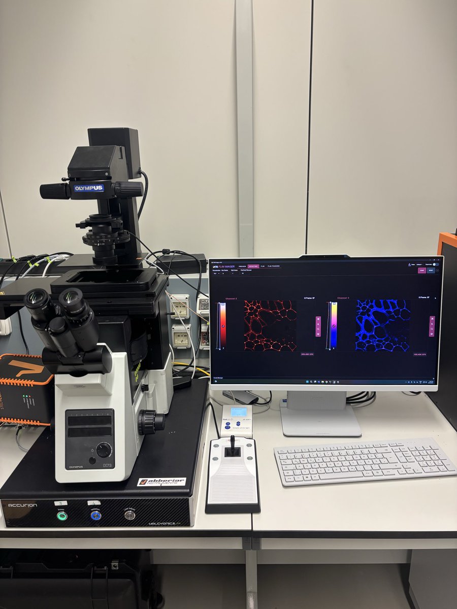 LaserBlood tweet media