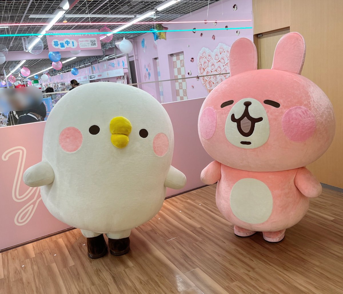 カナヘイの小動物 (@kanahei_animals) / Posts / X