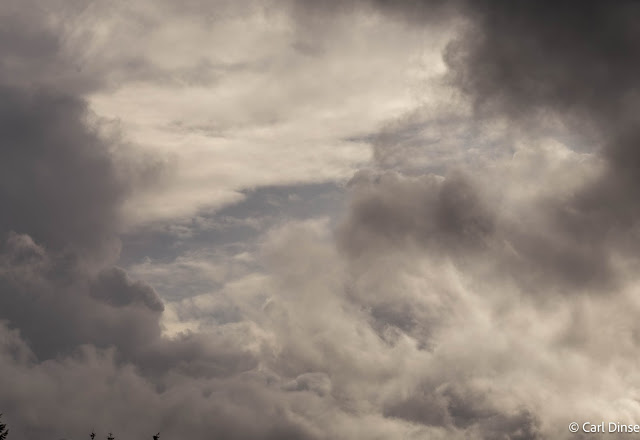 Shorelinearea's tweet image. WeatherWatcher: Chill in the air arrives, last week's highlights
shorelineareanews.com/2025/10/weathe…