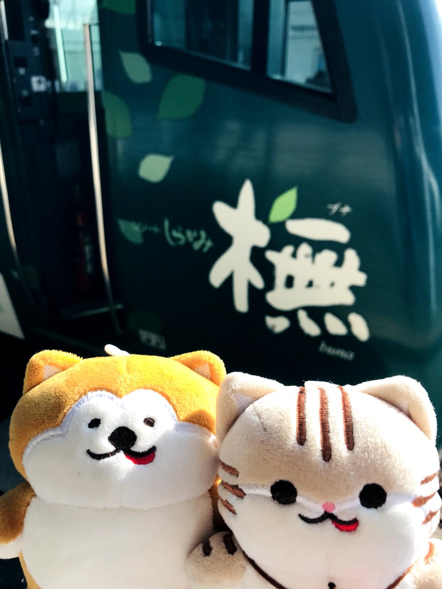 あきにゃん様確認用♡キャットセット 五能線・リゾートしらかみ🚊🌊／ こんにちニャン😸つがにゃんだよ