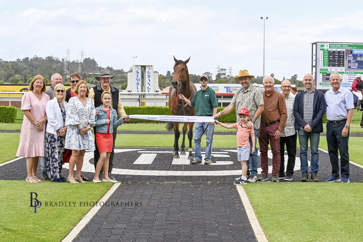 Myrtle House Stables tweet media