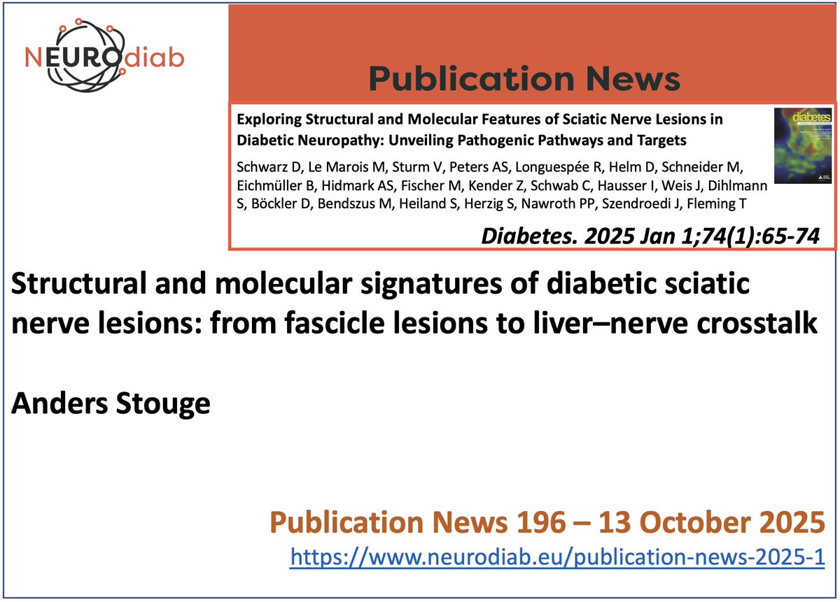 Structural and molecular signatures of diabetic sciatic nerve lesions: from fascicle lesions to liver–nerve crosstalk
On Neurodiab website a signaling of articles on #diabeticneuropathy
The 196th NEUROdiab Publication News is by  Anders Stouge (neurodiab.eu/publication-ne…)