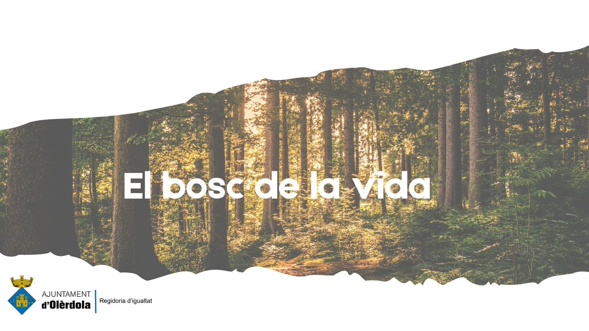 AjOlerdola's tweet photo. ♀️Dona, noia, nena vols participar del Bosc de la Vida?

✅Projecte promogut per la regidoria d'igualtat 

📅Oberta la convocatòria fins el 20 d’octubre 
📩📱Cal enviar mail a mulinaripm@olerdola.cat o trucar al 93 890 35 02 en horari d'atenció al públic
ℹ️https://t.co/mTa9B7vgVB https://t.co/nY3M0eZoOp