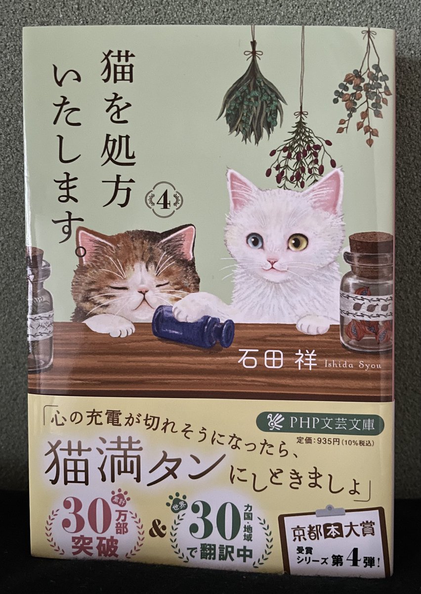 猫を処方いたします4