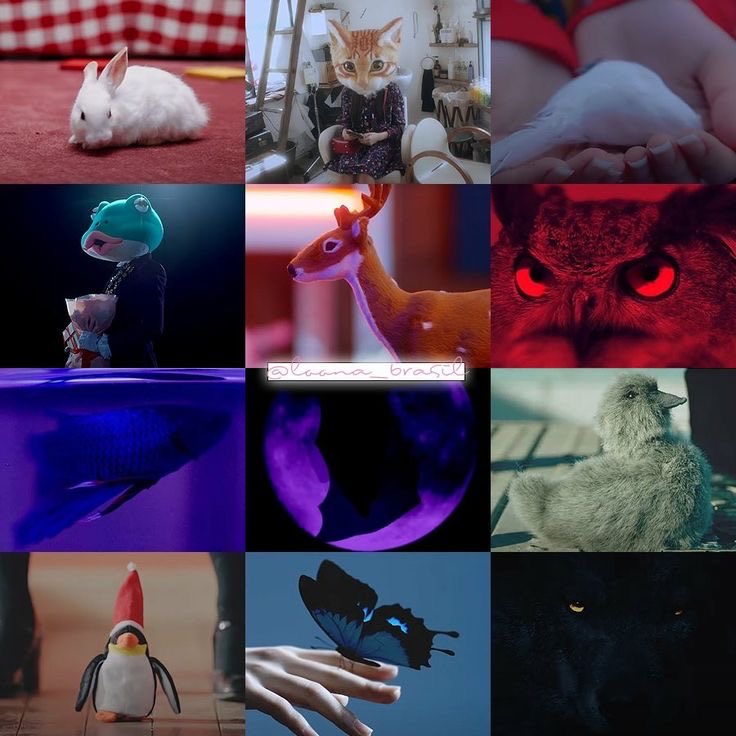 dalsolq's tweet image. 