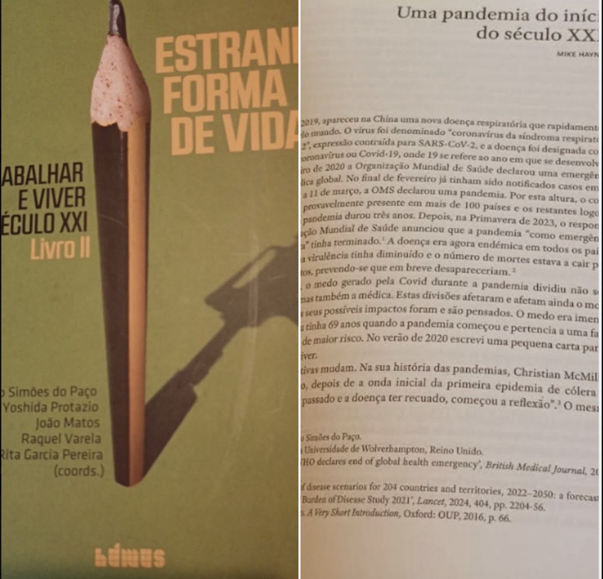 A Twenty First Century Pandemic  - my look back at the global pandemic.   

Sadly [except for those who speak it]  it is in Portuguese.   But anyone interested can find the English language version here [now with working link]

researchgate.net/publication/39…