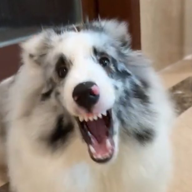 หิวโมเม้นโว้ย