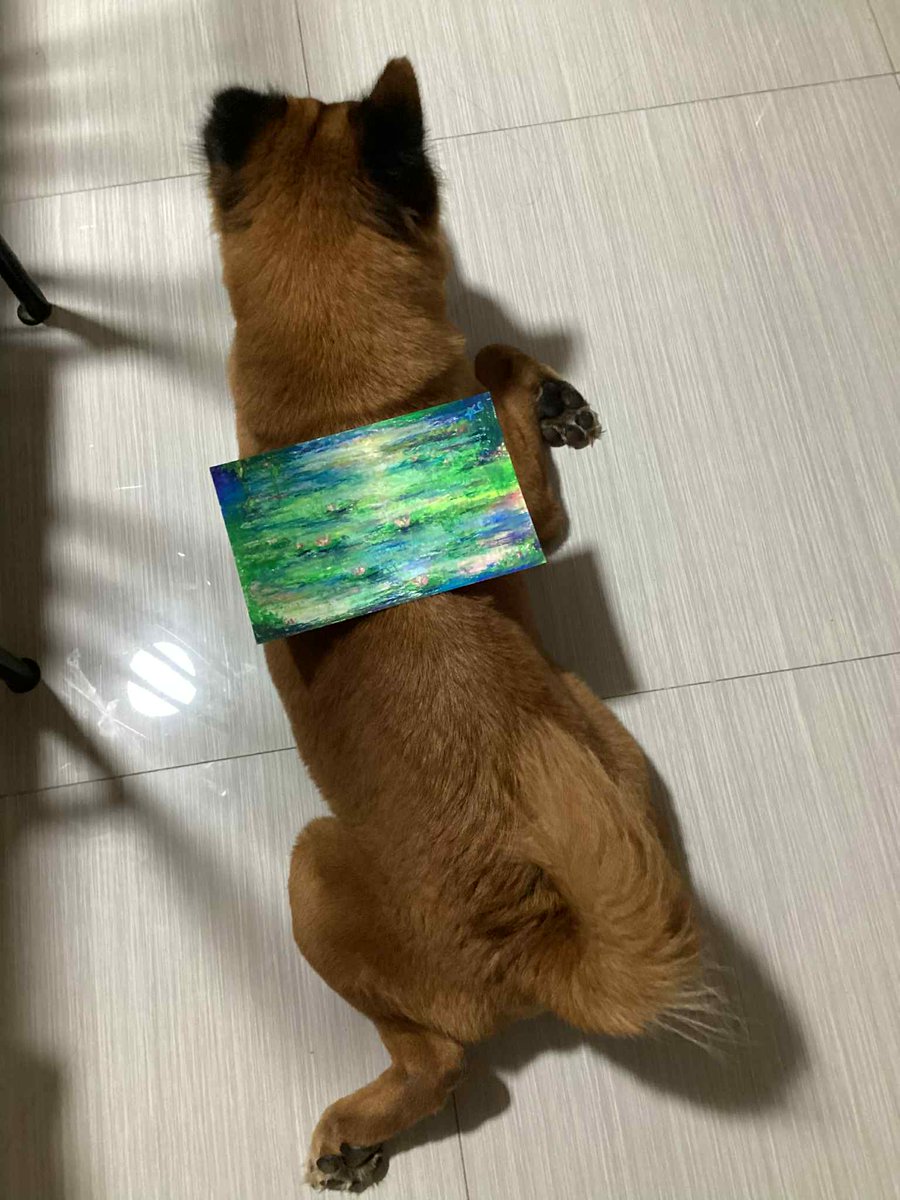 everybody loves claude monet ^^ heres my dog btw hehe 

#art #oilpastel #ArtistOnTwitter