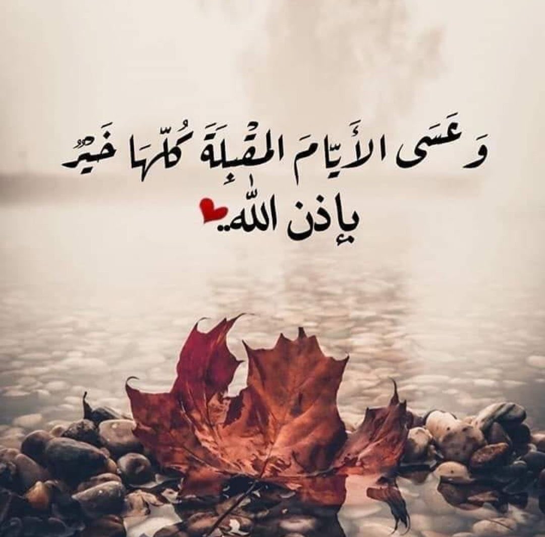 صباح الجمال