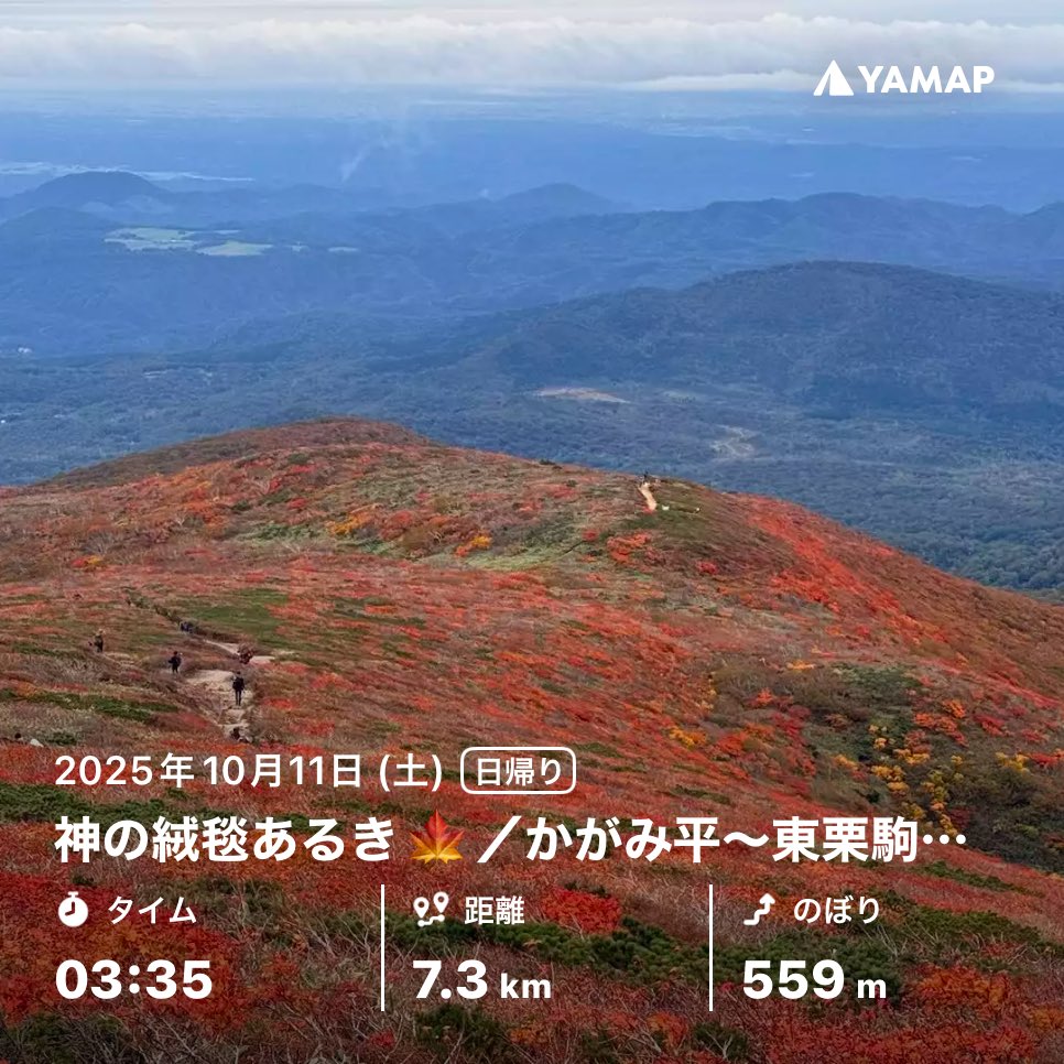 otou's tweet image. すごかった（語彙力）

神の絨毯あるき🍁／かがみ平〜東栗駒山〜栗駒山（二百） yamap.com/activities/435… #YAMAP #山歩しよう