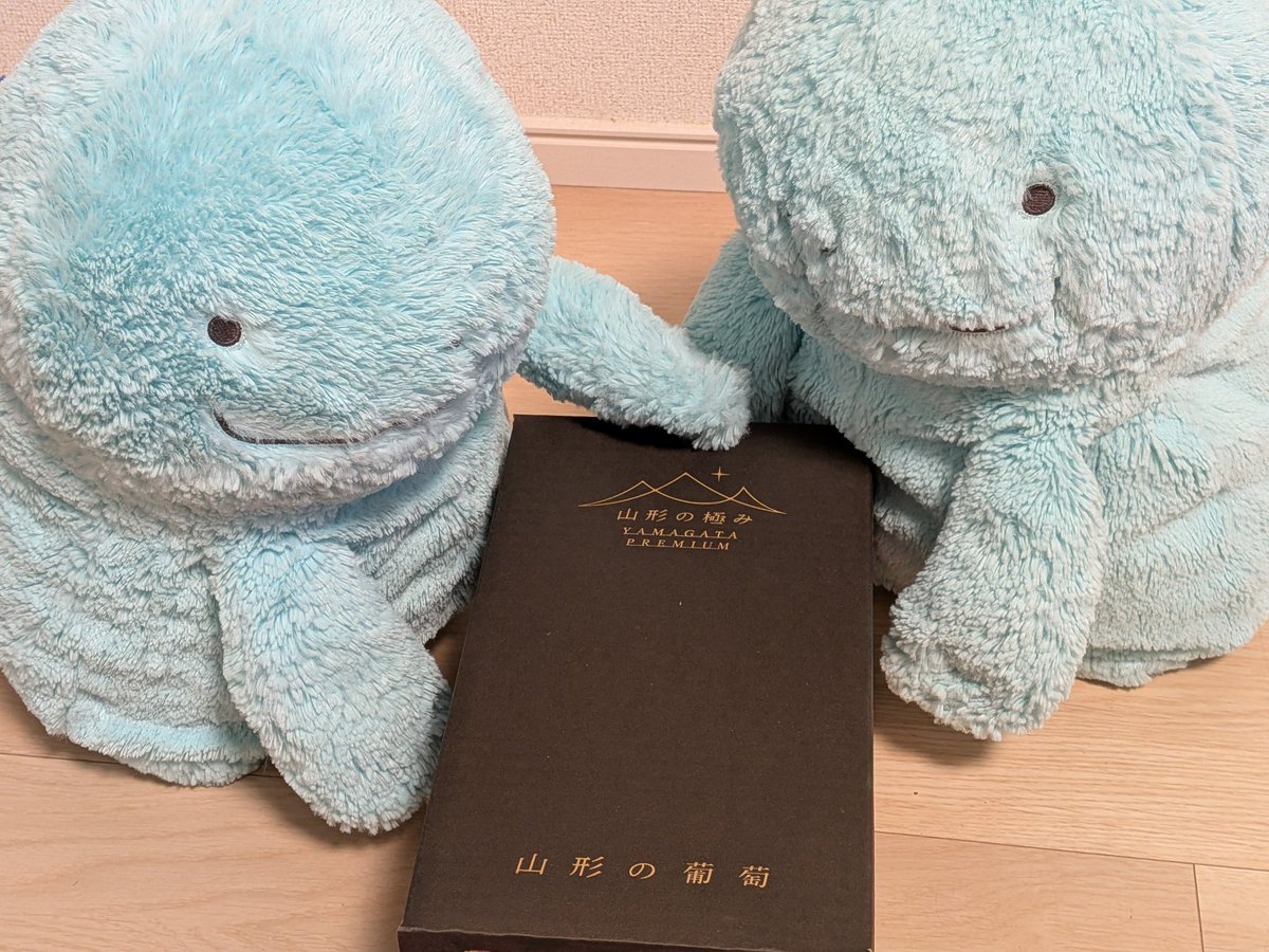 ponsugi_uni's tweet photo. なんか届いたぬ~
マスカットだぬ！！ https://t.co/u3xIO4IIq4