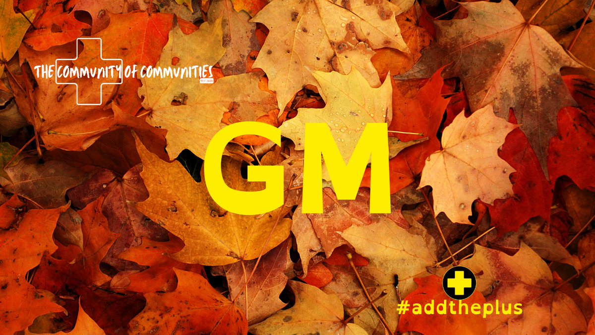 Good morning legends 🤜🤛