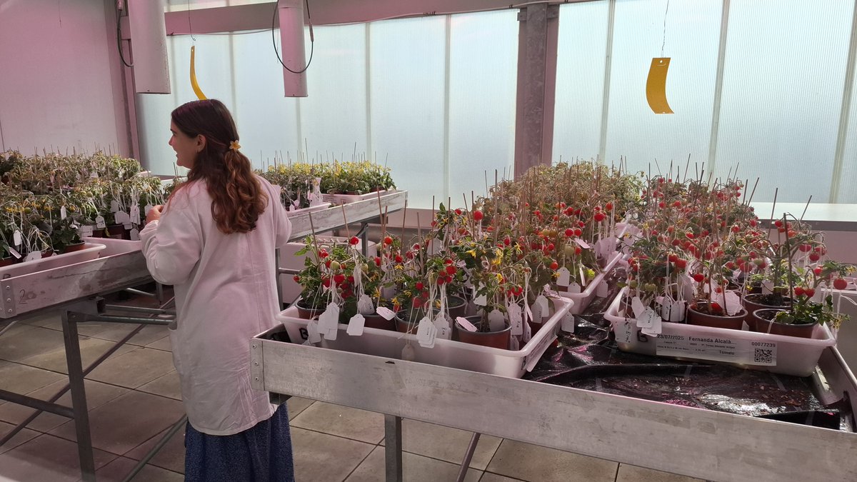 mcatanzaro's tweet photo. Con la clase de Periodismo Científico y de Salud de @UABBarcelona @uabcomunicacio visitamos el @cragenomica y aprendimos sobre CRISPR, melones que aguantan más, ley europea... y cómo es un centro de investigación de frontera por dentro. Atentos al report que saldrá en @UABmedia https://t.co/zD3wDSVbuG