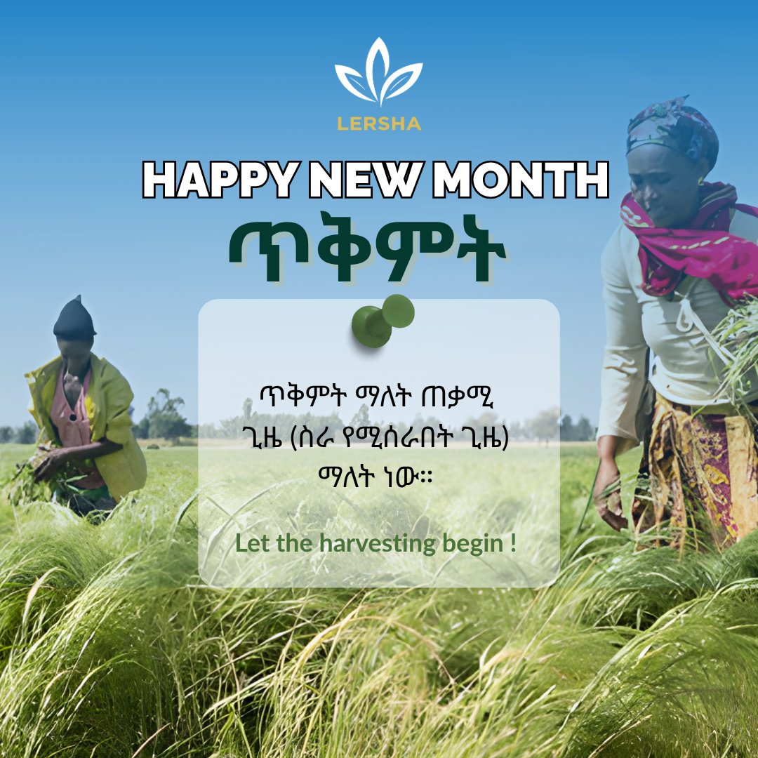 LERSHA App tweet media