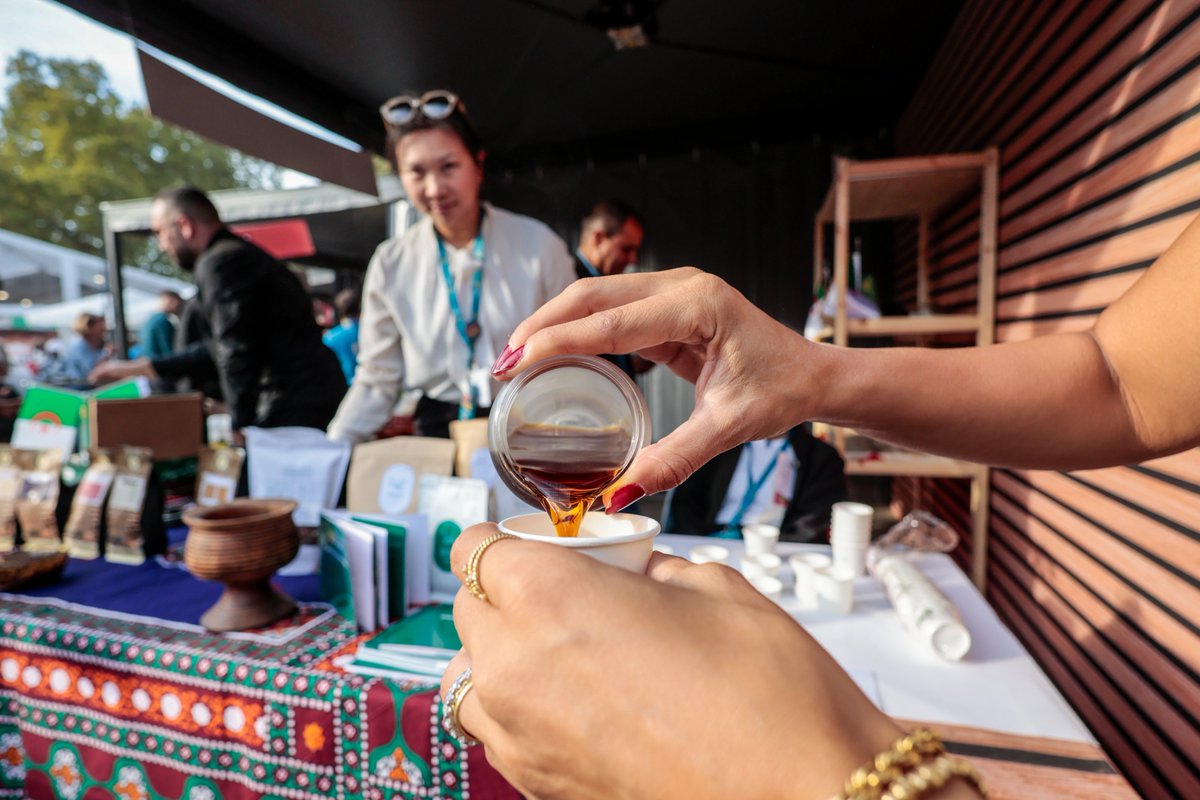 FAO in Yemen tweet media