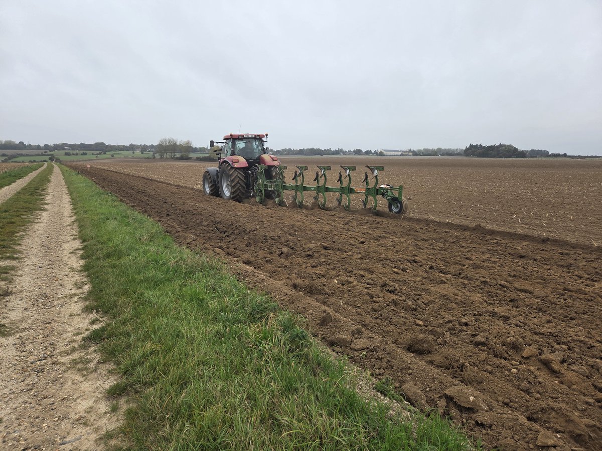 Né du mauvais côté de l'atlantique. Nos collègues des USA et Canadiens, pour combattre certaines graminées peuvent utiliser  des désherbant qui ne sont plus autorisés chez nous.

 Bilan après 20 ans de non labour, on ressort la charrue. Fin d'une belle expérience,