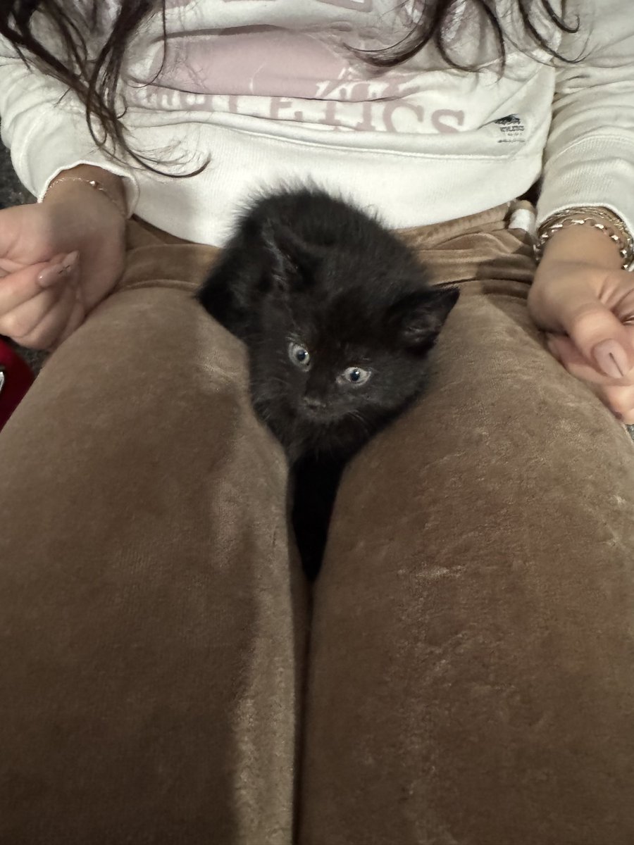 lookunderscore's tweet image. 2nd son acquired