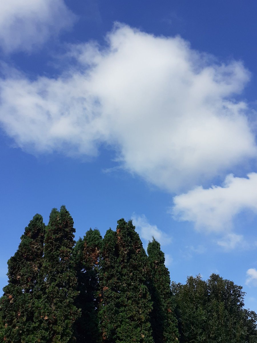 IstvnTt11045804's tweet image. 🌿🌤𝓗𝒶𝓅𝓅𝓎 ℳℴ𝓃𝒹𝒶𝓎🌤🌿☕🌿🌞🌿🌤🌿