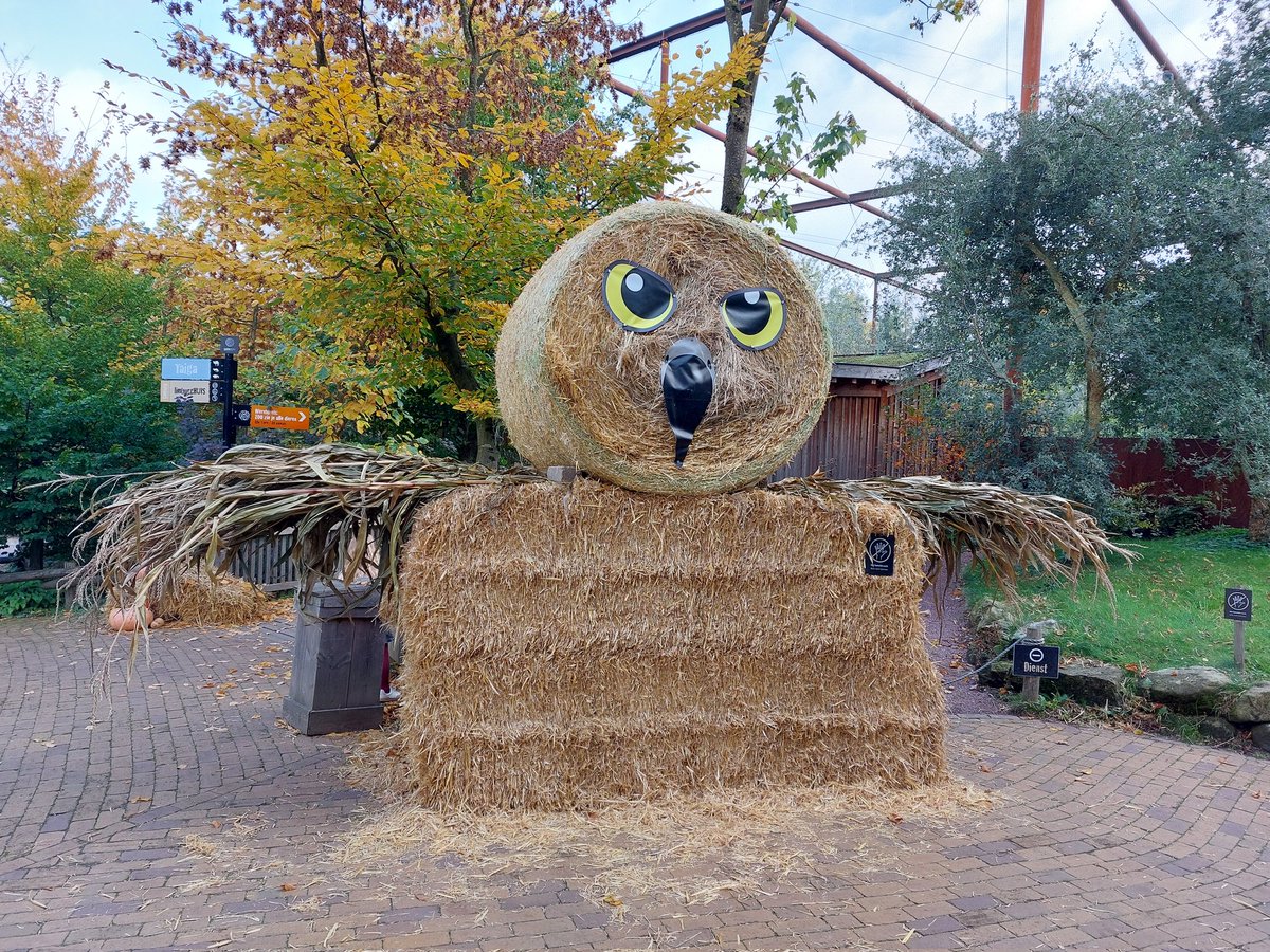 mathildeontwit's tweet image. Goedemorgen en een mooi begin van de week.
Gisteren met kleinkinderen in #GaiaZOO in Kerkrade geweest. In de herfst zó sfeervol 🍂🍁🦒