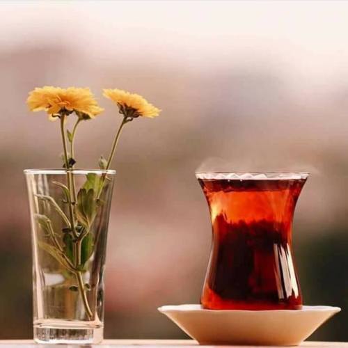 Dönüp duran bir çark.
Akıp giden bir zaman.
Yine, yeniden bir #sabah...
#Günaydın yaşamak.

#NazımHikmet #Pazartesi